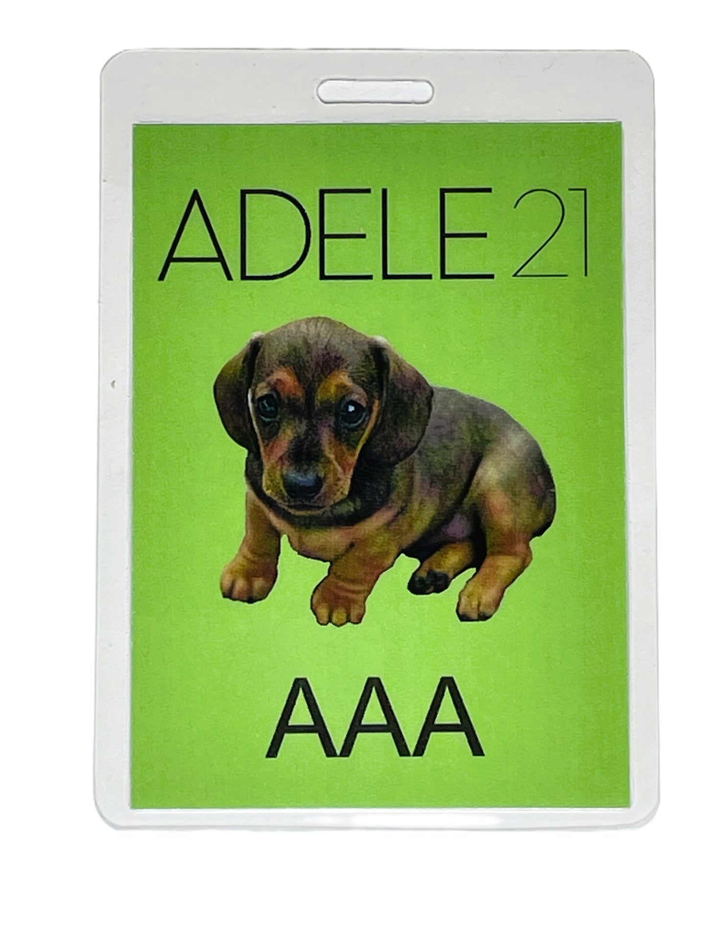 Pass with a puppy on a green background, featuring the name 'ADELE' and number '21'.